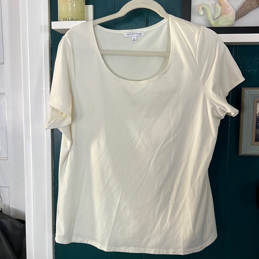 Dressy ‘t-shirt’ style shirt- 1X